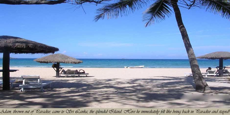 Secret Escape Nilaveli Ayurveda Hotel & Spa Exterior foto